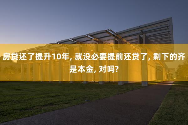 房贷还了提升10年, 就没必要提前还贷了, 剩下的齐是本金, 对吗?