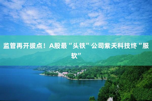 监管再开拔点！A股最“头铁”公司紫天科技终“服软”