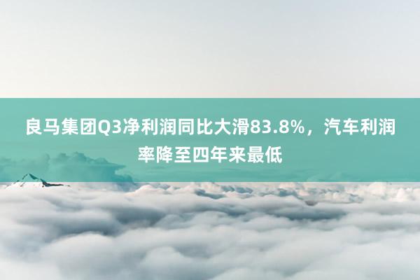 良马集团Q3净利润同比大滑83.8%，汽车利润率降至四年来最低