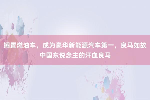 搁置燃油车，成为豪华新能源汽车第一，良马如故中国东说念主的汗血良马