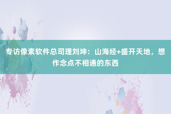 专访像素软件总司理刘坤：山海经+盛开天地，想作念点不相通的东西